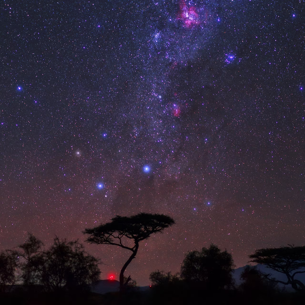 הצלב הדרומי (קרוקס)