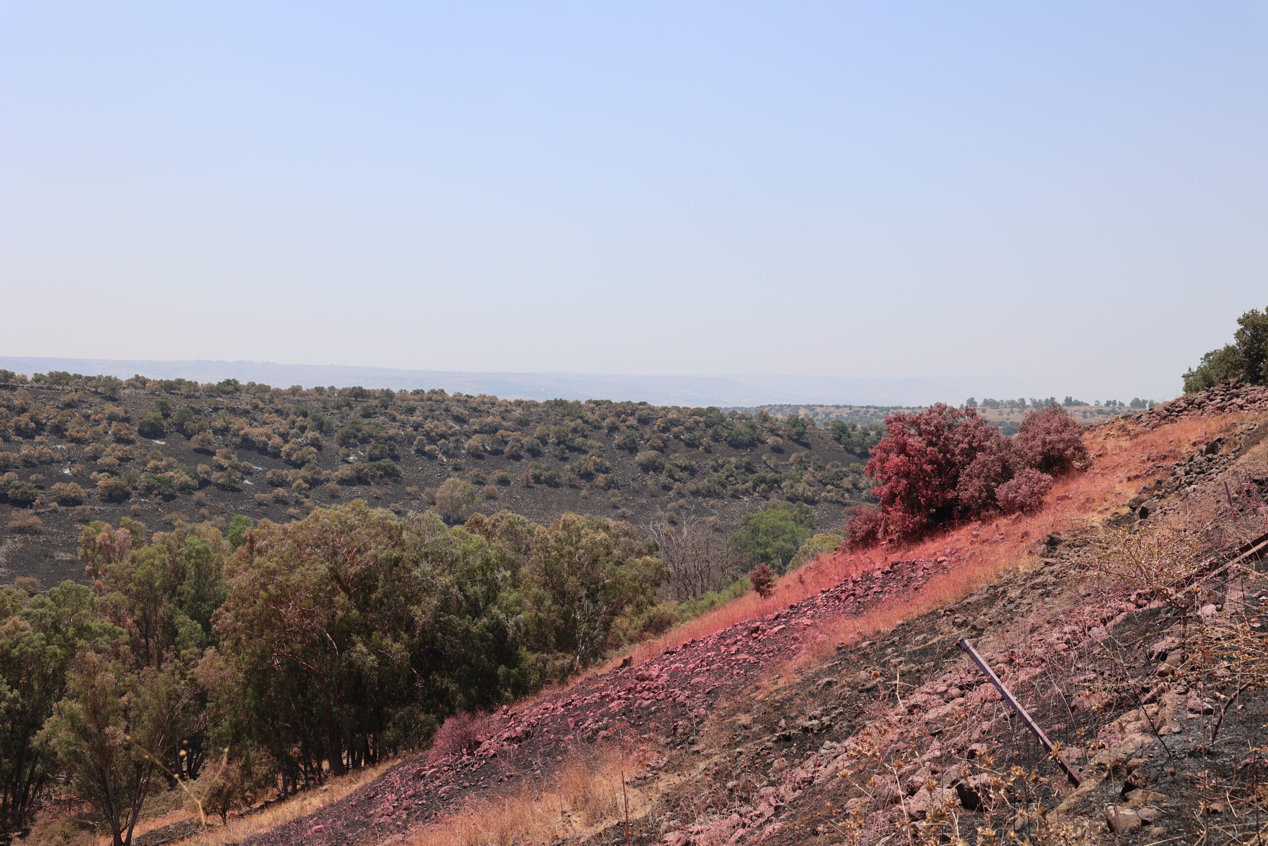 שריפה בנחל משושים 04.07.24, קרדיט צילום - שי אייזקס, רשות הטבע והגנים (73)