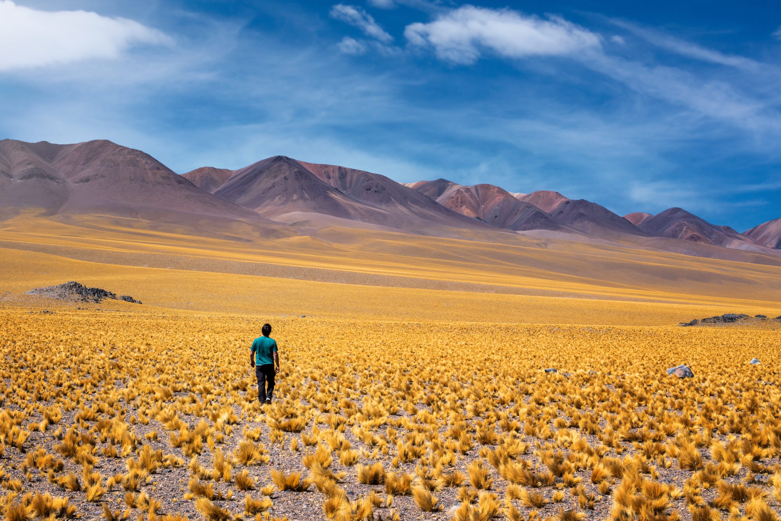 Road,Of,The,Six,Thousand,,Catamarca,,Argentina.,Man,Walking,Backwards