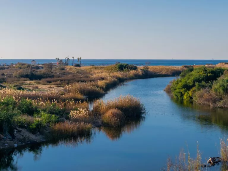 Nature,Reserve,Near,Zikim,Beach,In,The,Backround,You,Can