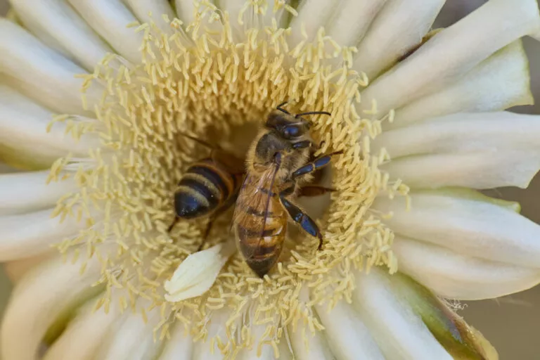 NationalGeographic_2828867