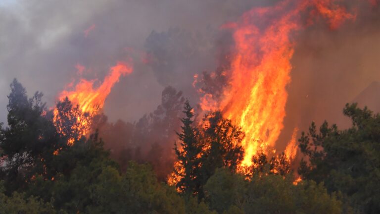 Fires,Are,All,Over,In,Haifa,,Israel,,Since,The,Bad