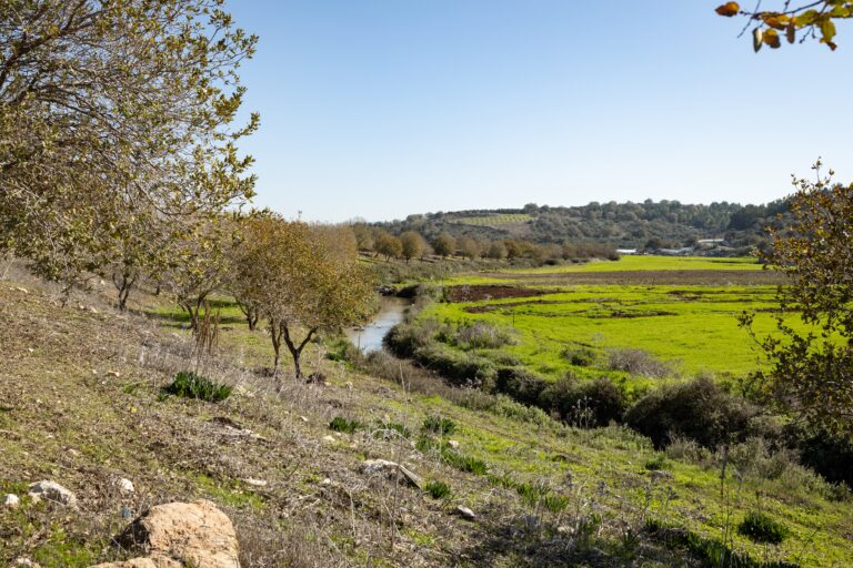 Tzipori,River,Park,,Lower,Galilee,,Northern,Israel