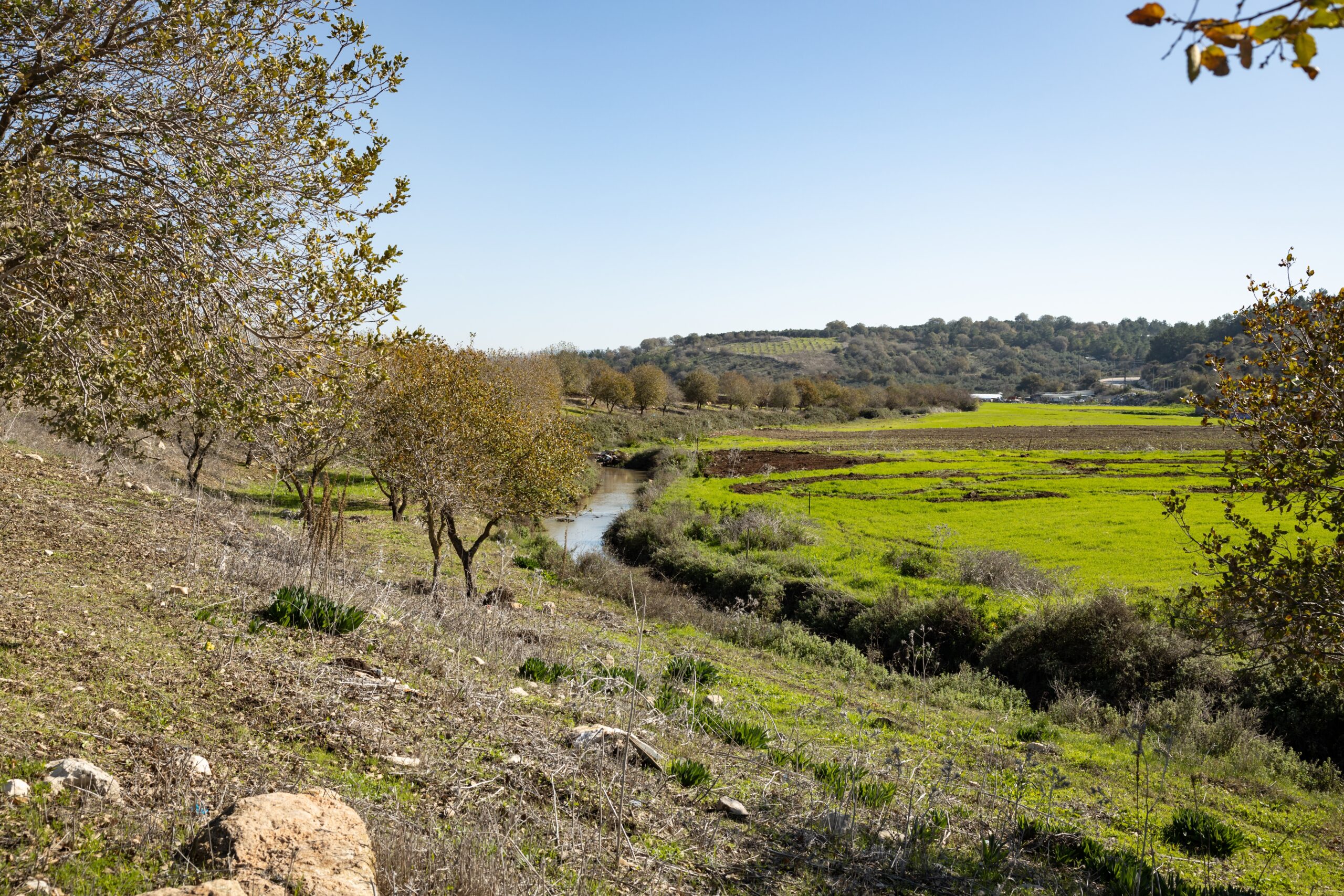 Tzipori,River,Park,,Lower,Galilee,,Northern,Israel.