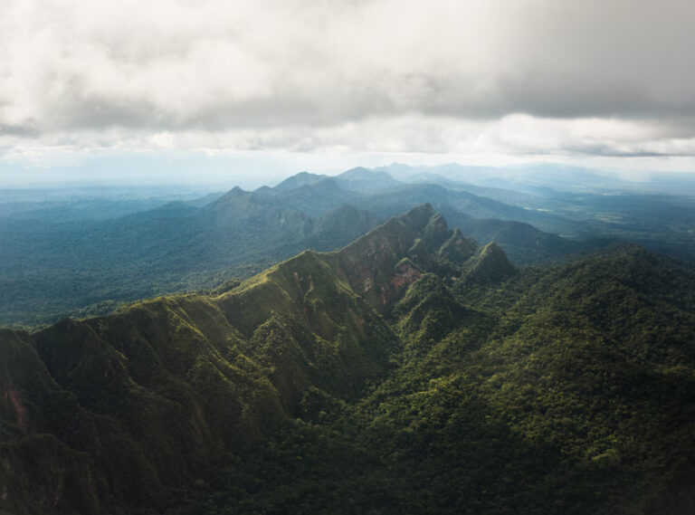 NationalGeographic_2167507