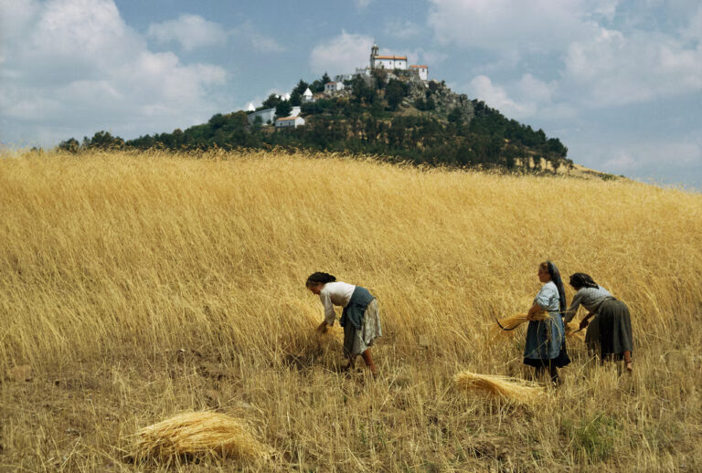 01-agriculture-revolution-1068468