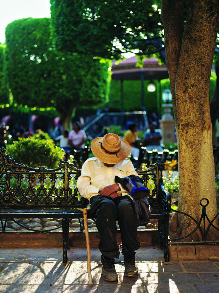איש נוחר על ספסל בפארק El Jardin, סן מיגל דה איינדה, מקסיקו. שינה מספקת היא קריטית לבריאות מנטלית וגופנית.