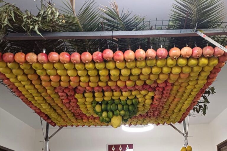  של WhatsApp‏ 2025-10-07 בשעה 13.15