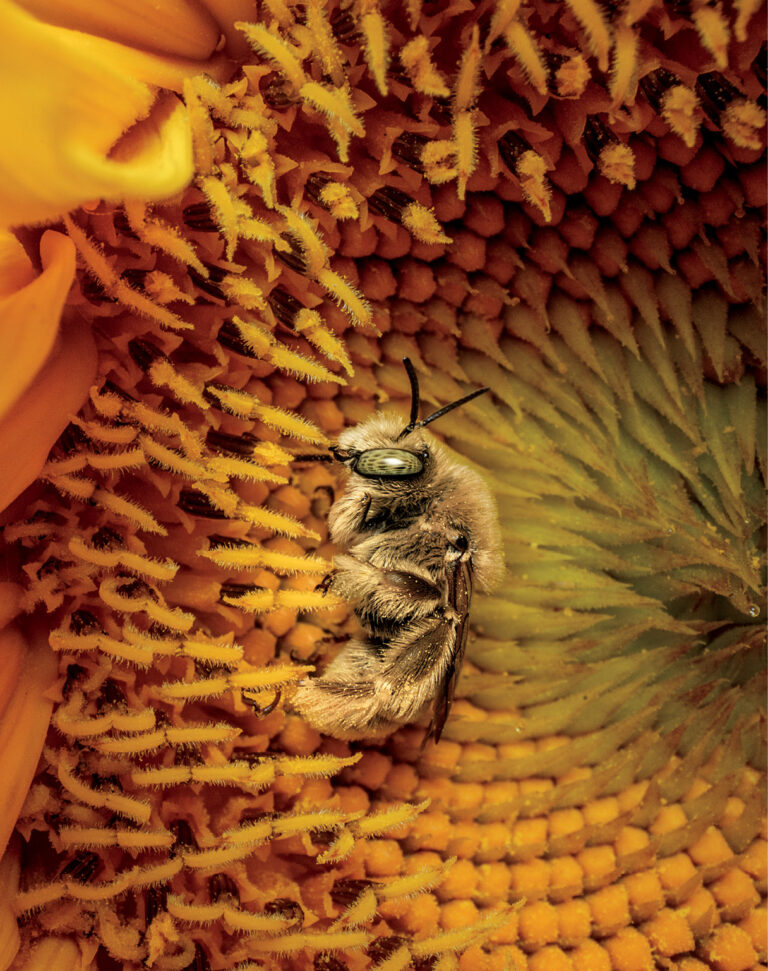 MM10353_250718_11678