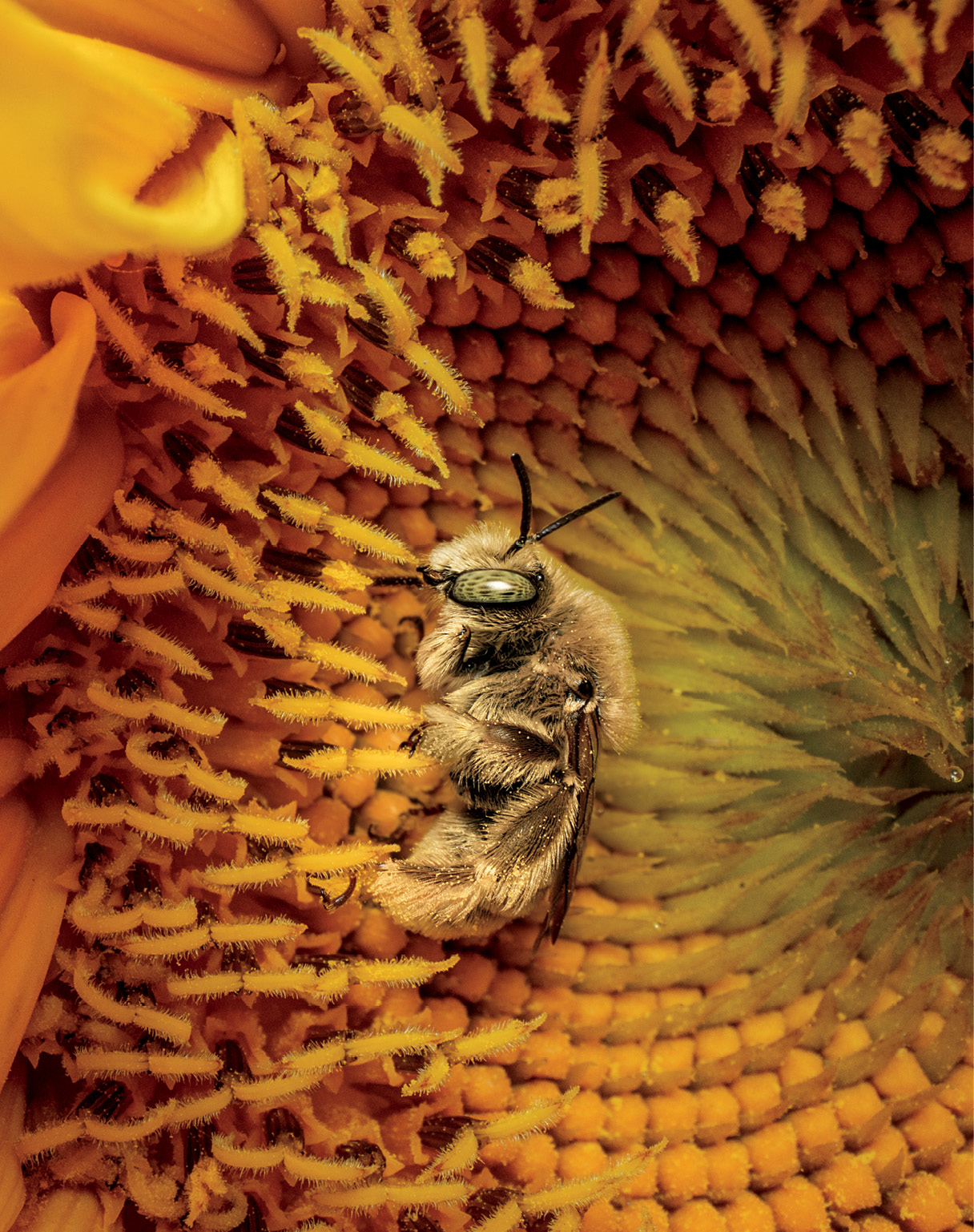 MM10353_250718_11678