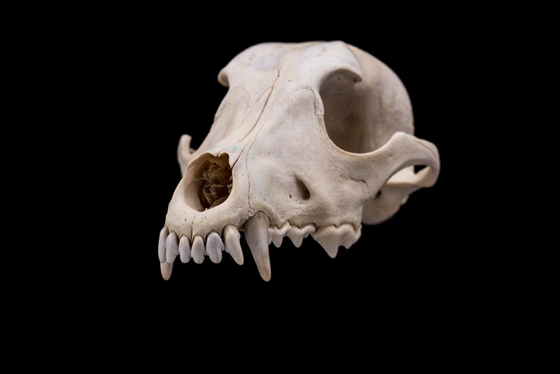 shutterstock_270728600