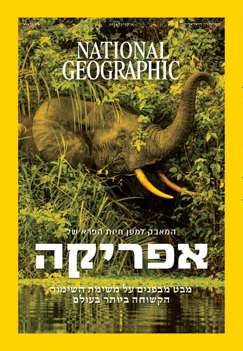 אוקטובר 26