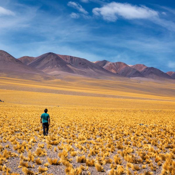 Road,Of,The,Six,Thousand,,Catamarca,,Argentina.,Man,Walking,Backwards