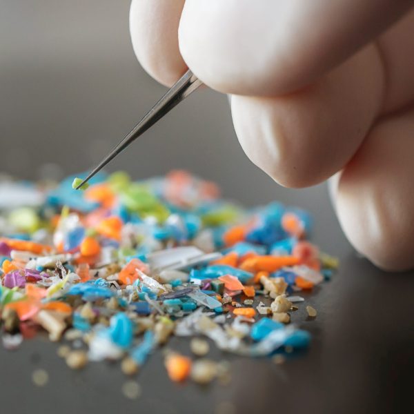 Macro,Shot,Of,A,Person,With,Medical,Gloves,And,Tweezers